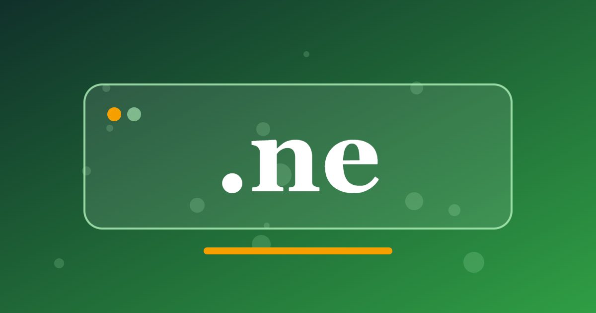 .ne Domain: The National Address for Nigerien Businesses, Schools and Projects